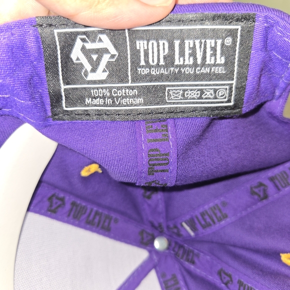 Top Level Kids Snapback Hat Purple Gold Bear Graphic Limited Edition Cap - Picture 9 of 10